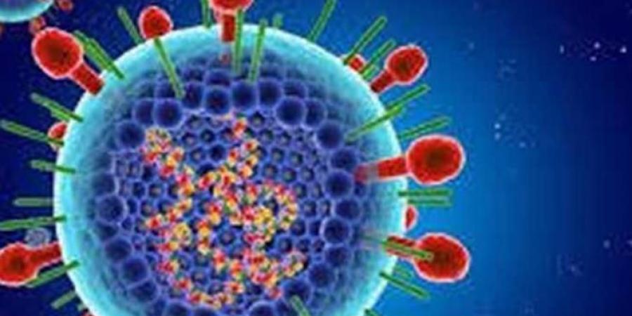 اخبار اليمن | بعد انتشاره المخيف .. طبيب أردني يكشف مفاجأة مدوية عن الفيروس المخلوي