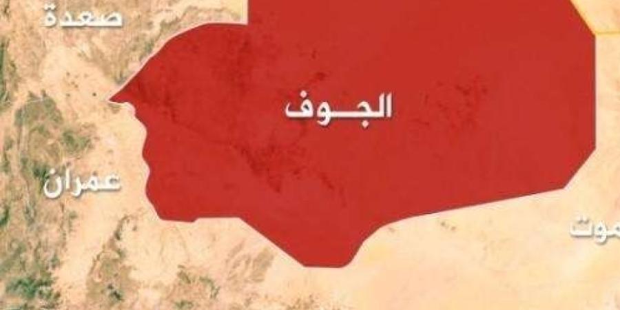 اليمن: القوات الحكومية تحبط محاولة تسلل لعناصر حوثية في الجوف