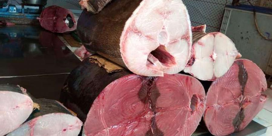 اخبار اليمن الان | تواصل إرتفاع أسعار الأسماك في العاصمة عدن "تعرف على الأسعار"