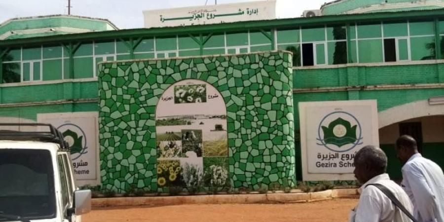 اخبار الإقتصاد السوداني - الحراك السياسي: مشروع الجزيرة: مقترح بسعر تأشيري جديد