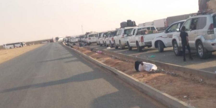 اخبار اليمن | زحام شديد في منفذ الوديعة .. وعشرات المركبات تنتظر موعد الخروج