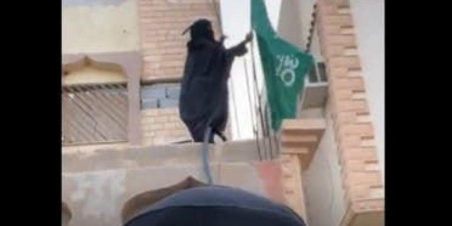 أشعلت التواصل.. مسنة تتسلق أسوار منزلها لترفع العلم السعودي