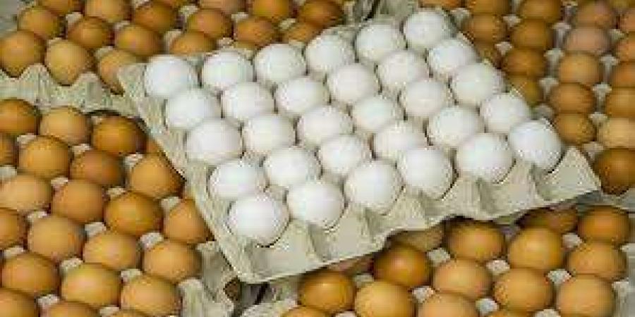 اخبار اليمن الان | إنخفاض طفيف بأسعار البيض في عدن