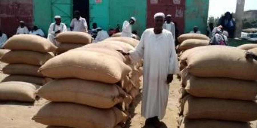 اخبار الإقتصاد السوداني - إستقرار في أسعار السمسم عالمياً