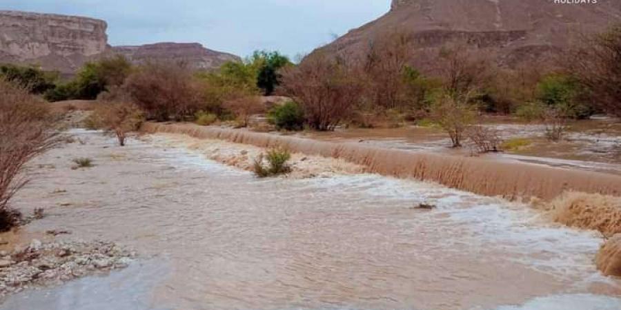 اخبار اليمن الان | هطول أمطار متوسطة في هاتين المحافظتين
