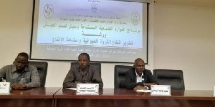 اخبار الإقتصاد السوداني - حكومة شمال كردفان تؤكد الاهتمام بقطاع الثروة الحيوانية