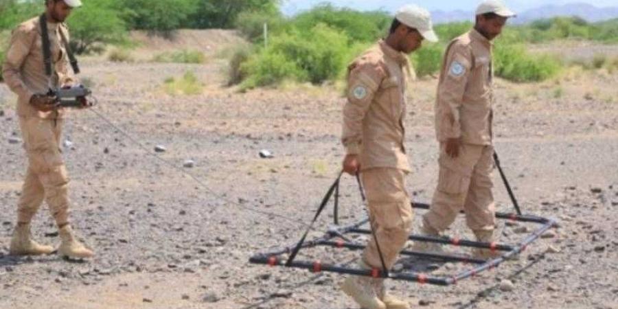 اخبار اليمن | أكثر من 20 قتيلًا ومصابًا بسبب الألغام الحوثية في محافظة واحدة