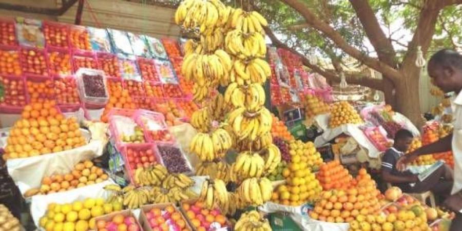 اخبار الإقتصاد السوداني - توقعات بندرة وزيادة في الفواكه بالأسواق