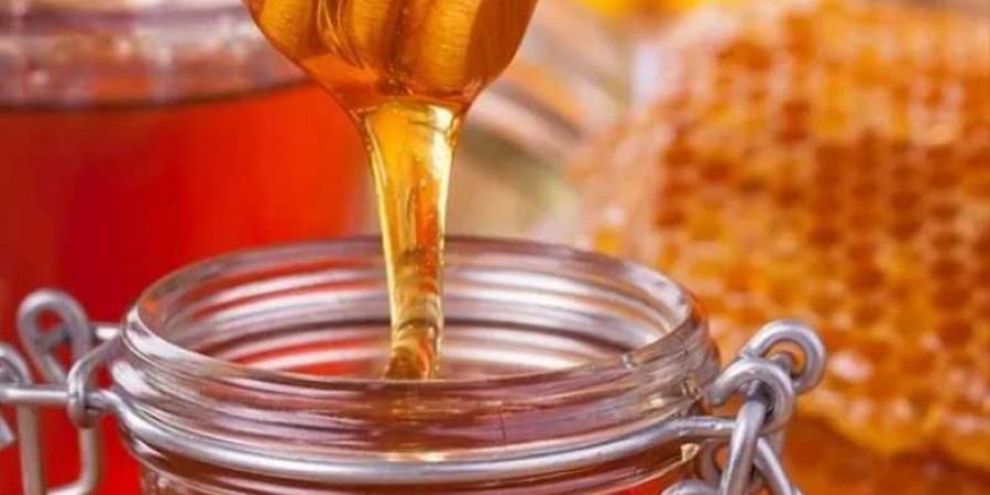 اخبار اليمن | هل تعرف أنواع الغش في العسل؟.. تعرف عليها الآن