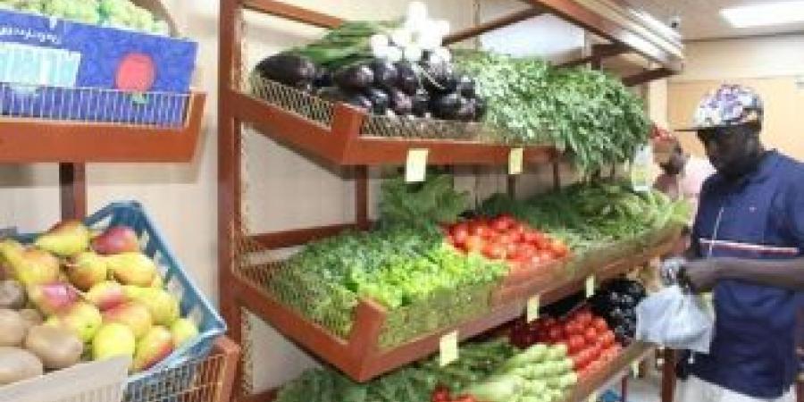 اخبار الإقتصاد السوداني - الزراعة بالخرطوم تدشن مشروع البيع المباشر للمنتجات الزراعية