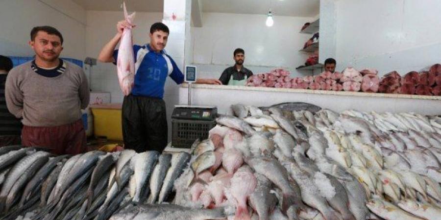 اخبار اليمن | بعد منع التصدير .. إعلان قرار جديد بشأن الأسماك في الأسواق المحلية (تابع)