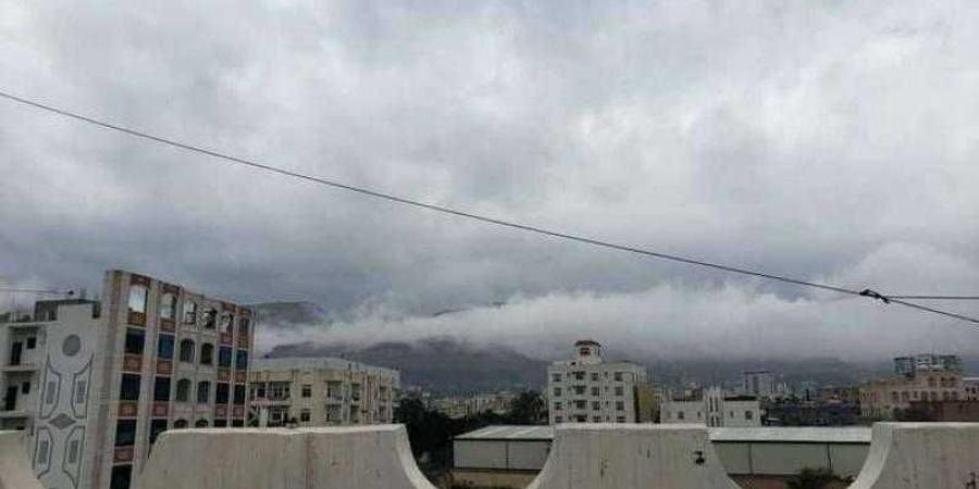 اخبار اليمن | الحوثيون يعلنون عن ترتيبات لاستقبال وفد  خليجي فى صنعاء