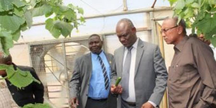 اخبار الإقتصاد السوداني - الزراعة وجهاز الاستثمارات بالخرطوم يتفقدان شركة الجداول للتنمية الزراعية