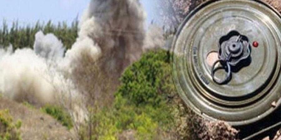 اخبار اليمن | انفجار حوثي يودي بحياة أم وطفلها خلال رعي الأغنام بمارب