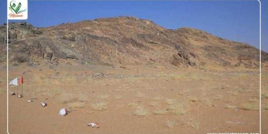 اخبار اليمن | الإعلان عن تطهير  ‘‘قرون الثعالب’’ ونزع عشرات الألغام في محافظة شبوة