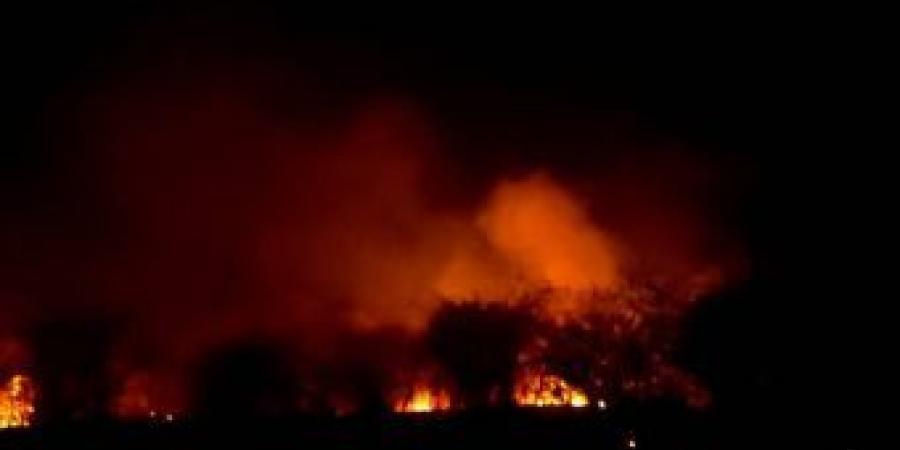 اخبار السودان الان - حريق يلتهم كميات من النخيل بأبي دوم مروي