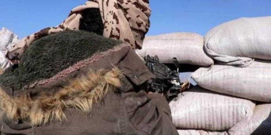 اخبار اليمن | الجيش اليمني يحبط محاولات عدائية في تعز