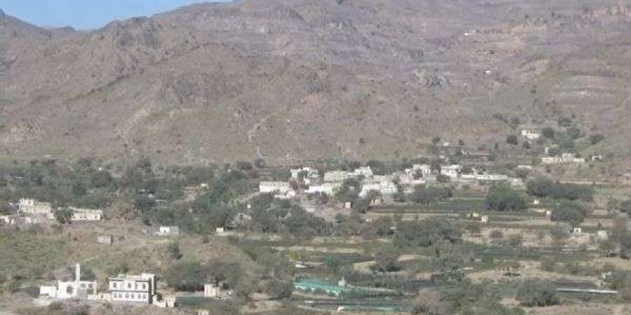 اخبار اليمن | لسبب مخيف.. مليشيا الحوثي تعتقل أكثر من 70 مواطن بهذه المحافظة!