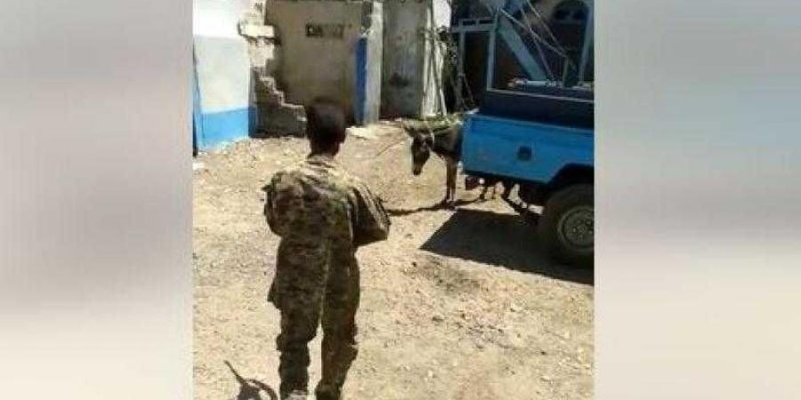 اخبار اليمن | شاهد ..  إعدام حمار برصاص افراد الأمن في عدن بصورة بشعة .. ومصادر تكشف السبب