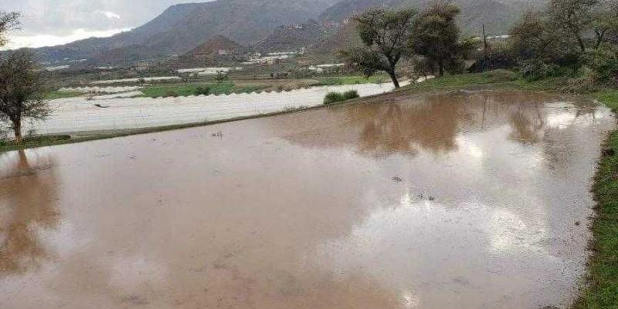 اخبار اليمن | الأمطار تمتد إلى 10 محافظات .. وتحذيرات من أجواء حارة في عدد من المناطق اليمنية