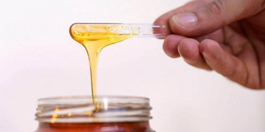 اخبار السودان من كوش نيوز - عسل النحل وفوائده في تحسين اللياقة البدنية وقوة الجسم