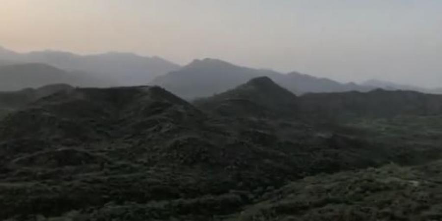 اليمن: نساء صعدة يتصدّين لمحاولات المليشيا السطو على أراضي المواطنين