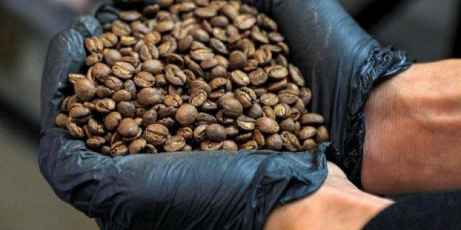 اخبار اليمن | قهوة موكا.. حبوب البنّ التي قدمت اليمن للعالم