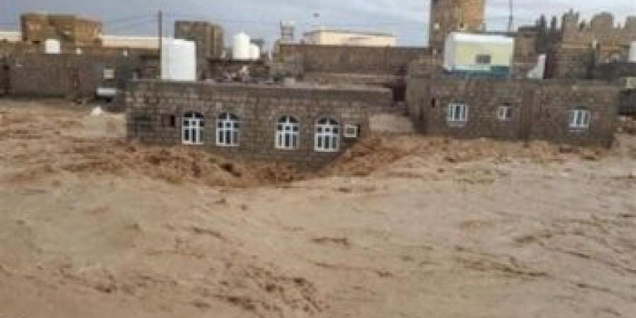 اخبار اليمن | شاهد : سيول كبيرة تجرف العديد من المنازل في محافظة يمنية