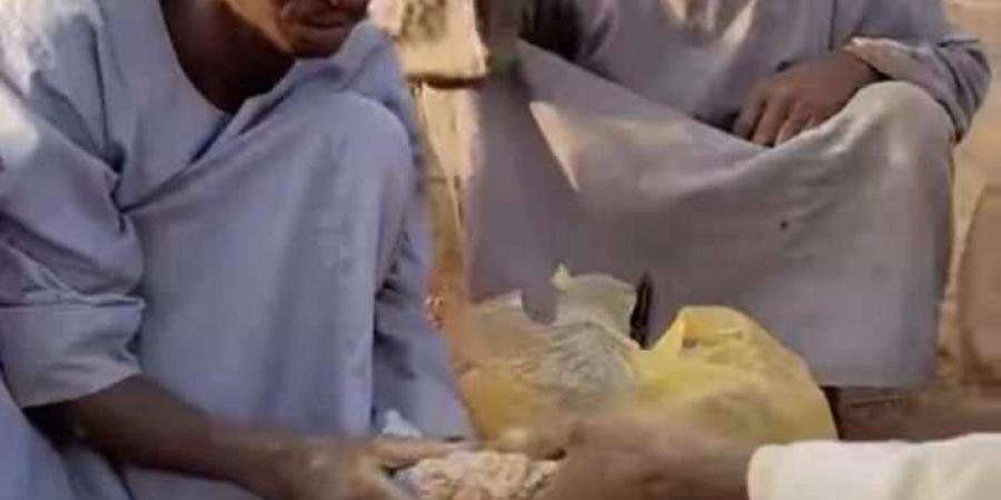 اخبار السودان من كوش نيوز - شاهد بالصورة والفيديو.. فرحة عمال تنقيب بمناطق الذهب "دهابة" بالسودان بعد عثورهم على حجارة ممتلئة بالذهب