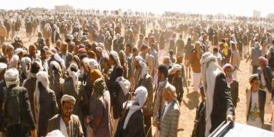 اخبار اليمن | بوادر انتفاضة مسلحة ضد جماعة الحوثي.. قبائل أرحب تتحرك صوب صنعاء وتتعهد بالإطاحة بالقيادات الحوثية