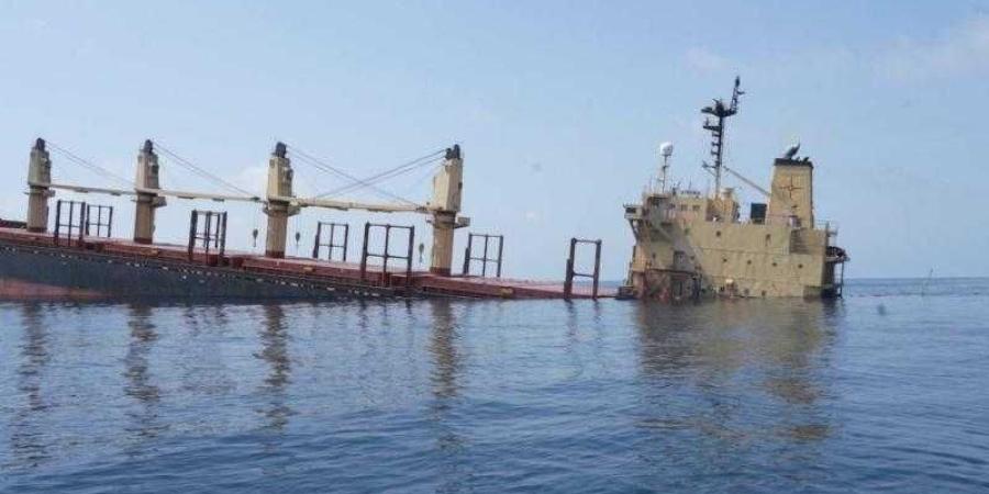 اخبار اليمن | الحكومة اليمنية توجه طلبًا رسميًا للصين بالتدخل في البحر الأحمر