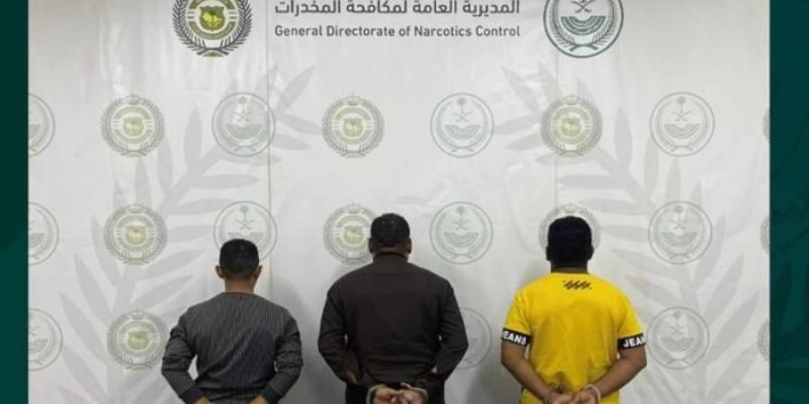 اخبار اليمن | القبض على مقيمين يمنيين ومواطن سعودي وإحالتهم إلى النيابة العامة