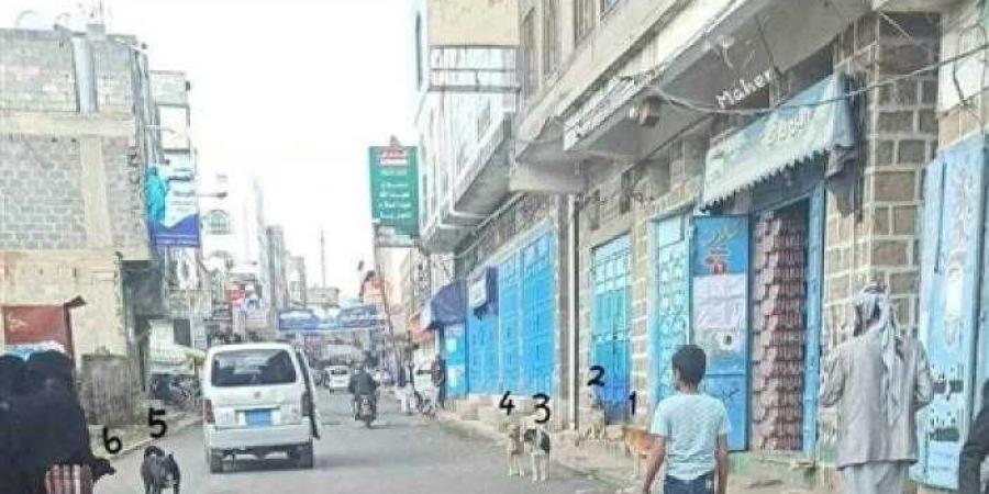 اخبار اليمن | ”بين الإهمال والاحتكار: داء الكلب يهدد حياة الأطفال والكبار في محافظة إب”