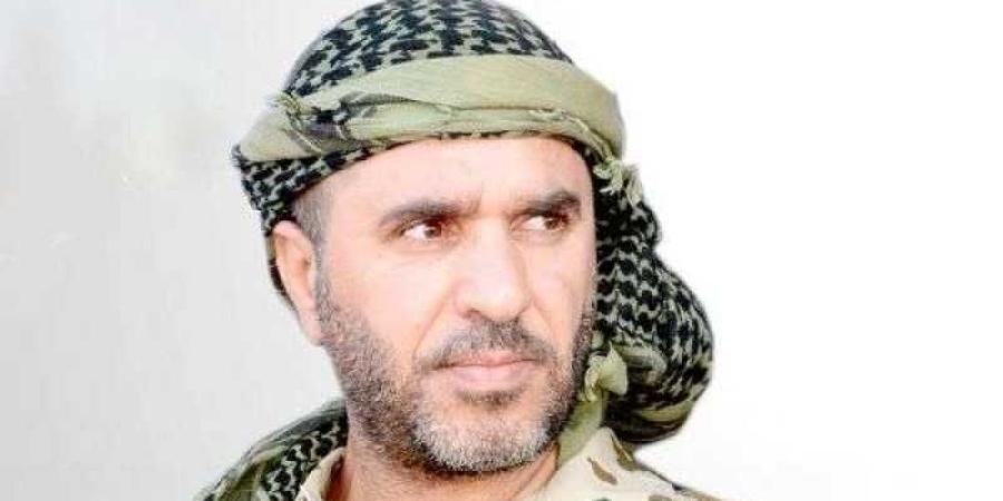 اخبار اليمن | ناطق قوات طارق صالح: إيران تسعى للسيطرة على البحر الأحمر