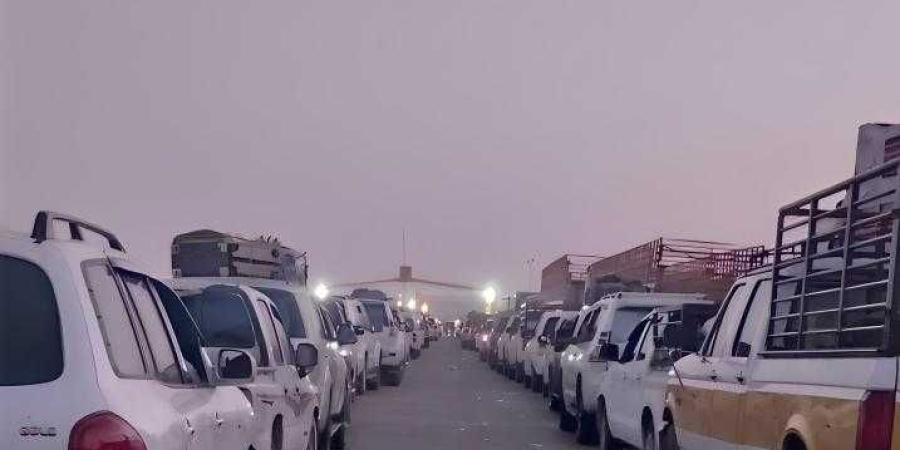 اخبار اليمن | إيقاف الرحلات إلى السعودية عبر ميناء الوديعة.. وإعلان للجهات الرسمية