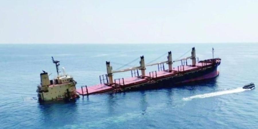 اخبار اليمن | منظمة التنمية الدولية (إيغاد) : البحر الأحمر يحتاج أكثر من 30 عاماً للتعافي من غرق ”روبيمار”