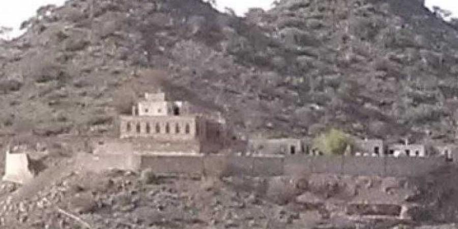 اخبار اليمن | الحوثيون يقتحمون منزل احد مشايخ الحيمة للمرة الثالثة ويجرفون فناء المنزل ويختطفون حارسه