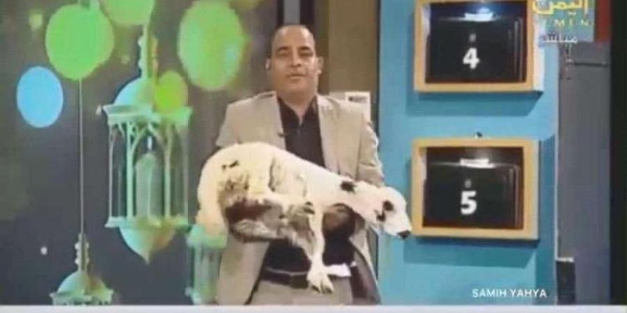 اخبار اليمن | بعد تقديمه خروفًا لأحد المتسابقين.. محمد المحمدي يخرج عن صمته ويكشف مفاجأة عن الجائزة الحقيقة (فيديو)