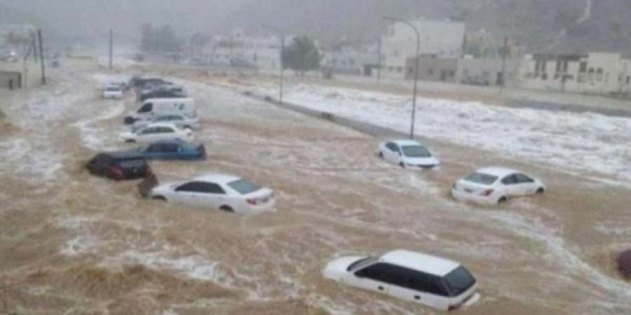اخبار اليمن | اليمن: "الفاو" تحذر من خطر الفيضانات الشديدة في حضرموت والمهرة وشبوة